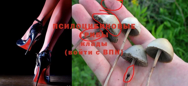 спиды Горнозаводск