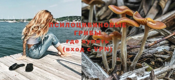 спиды Горнозаводск