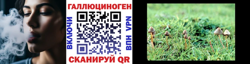 Галлюциногенные грибы мухоморы  Меленки 