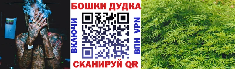 наркота  Меленки  Канабис индика 